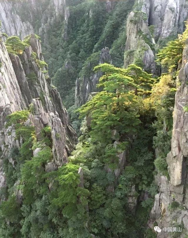 勇士吹泡泡